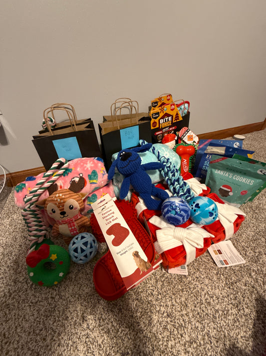 Dog Build a Christmas Box