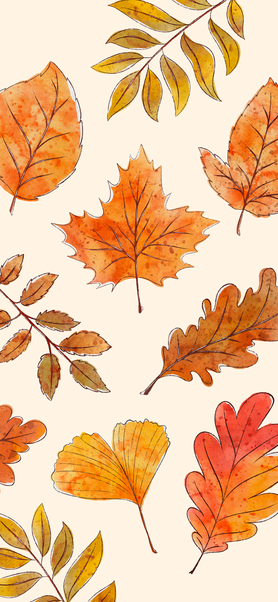 Fall Designs 🍂